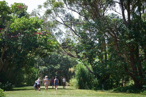 Ingenia Holidays Byron Bay - Kingaroy Accommodation 11