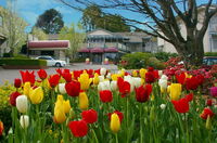 Book Leura Accommodation Vacations Kingaroy Accommodation Kingaroy Accommodation