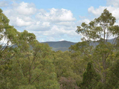Villa Executive 2br Cypress DS Located Within Cypress Lakes Resort - Kingaroy Accommodation 8