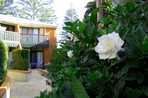 The Crest Byron Bay - Kingaroy Accommodation 29
