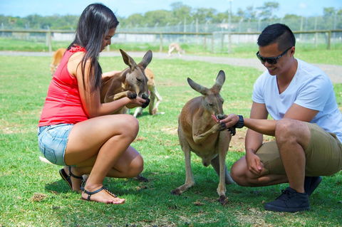On The Beach Getaway - Kingaroy Accommodation 25