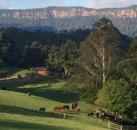 Amaroo Valley Springs - Kingaroy Accommodation