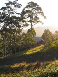 Book Bawley Point Accommodation Vacations Kingaroy Accommodation Kingaroy Accommodation