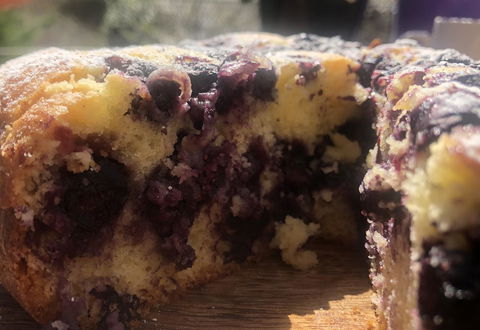 Jenkins Street Guesthouse - Kingaroy Accommodation 3