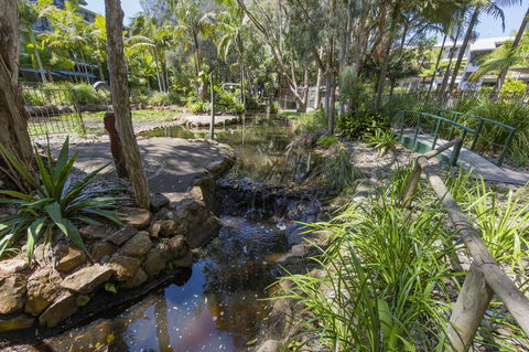 Flynns Beach Resort - Kingaroy Accommodation 13