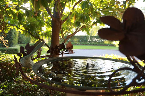 Peppers The Hills Lodge - Kingaroy Accommodation 30