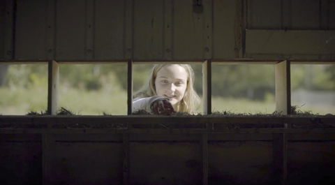 The Woods Farm Jervis Bay - Kingaroy Accommodation 11