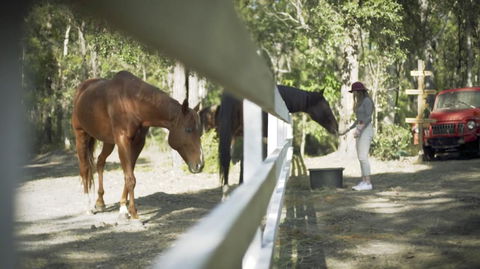 The Woods Farm Jervis Bay - Kingaroy Accommodation 13