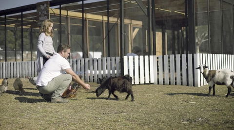 The Woods Farm Jervis Bay - Kingaroy Accommodation 14