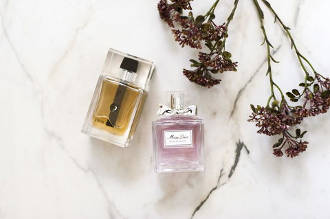 The Woods Farm Jervis Bay - Kingaroy Accommodation 28