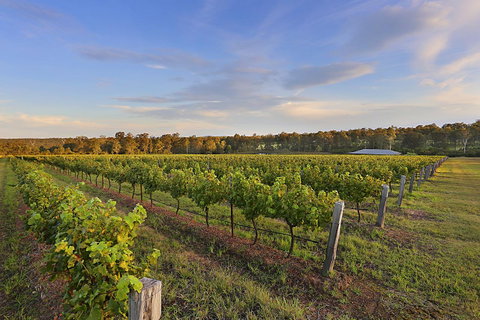 Ironstone Estate Lovedale - Kingaroy Accommodation 31