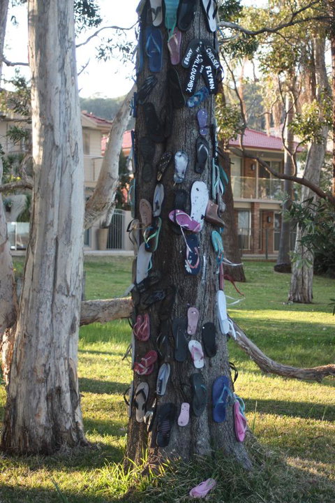 Ambience - Kingaroy Accommodation 33