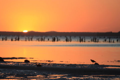 Ambience - Kingaroy Accommodation 35