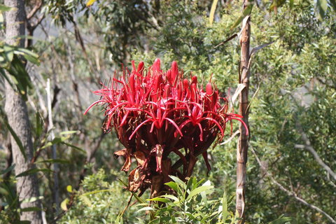 Ambience - Kingaroy Accommodation 30