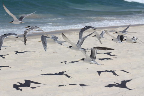 Ambience - Kingaroy Accommodation 32