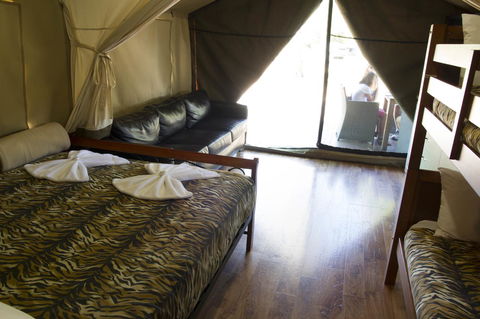 Discovery Parks - Dubbo - Kingaroy Accommodation 33
