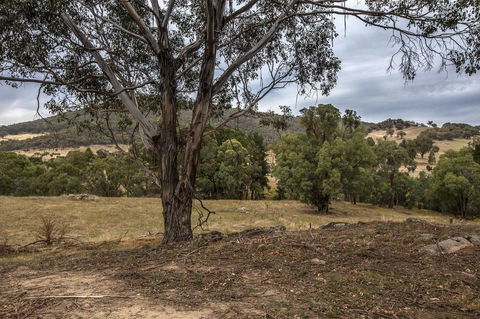 Pound Creek Gallery - Kingaroy Accommodation 29