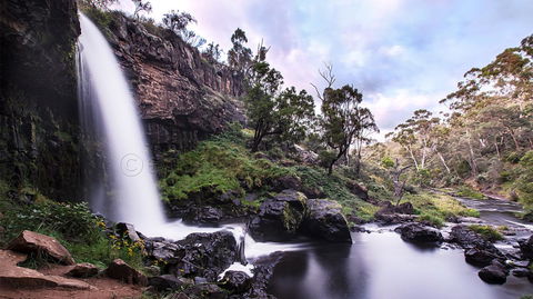 Pound Creek Gallery - Kingaroy Accommodation 14