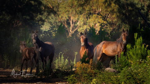 Pound Creek Gallery - Kingaroy Accommodation 18