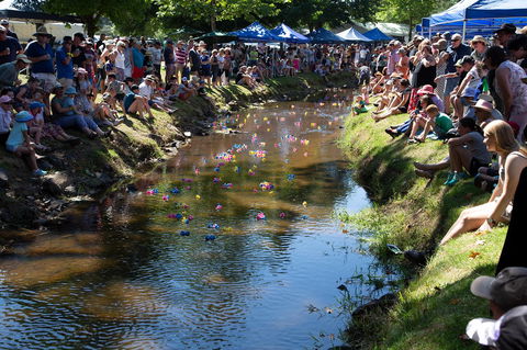 Pound Creek Gallery - Kingaroy Accommodation 15