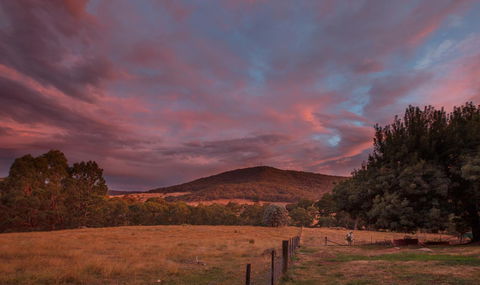 Pound Creek Gallery - Kingaroy Accommodation 28