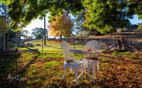 Pound Creek Gallery - Kingaroy Accommodation 27