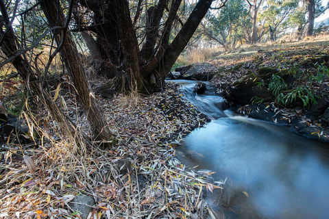 Pound Creek Gallery - Kingaroy Accommodation 26