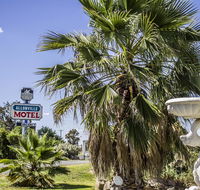 Allonville Gardens Motel - Kingaroy Accommodation
