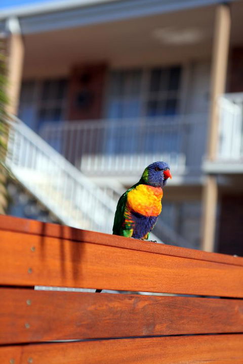 Summerhill Motor Inn - Kingaroy Accommodation 30