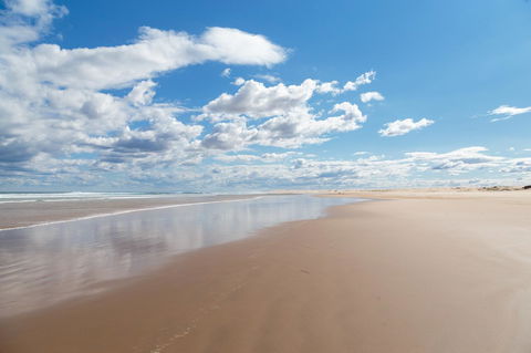 Birubi Beach Holiday Park - Kingaroy Accommodation 41
