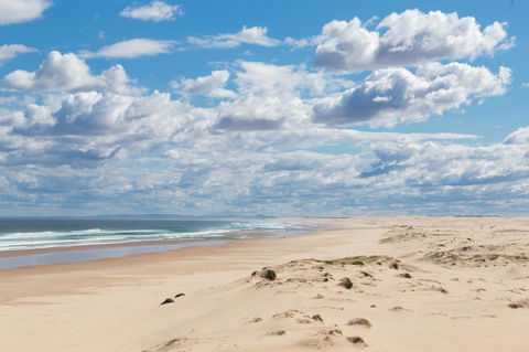 Birubi Beach Holiday Park - Kingaroy Accommodation 44