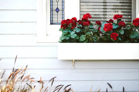 Morpeth Cottage - Kingaroy Accommodation 41