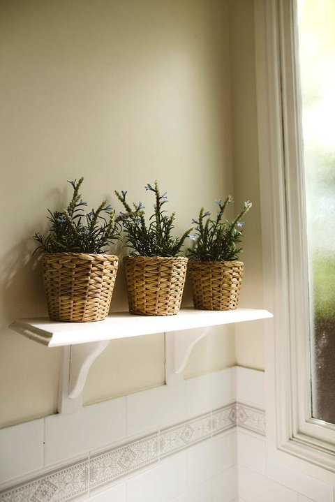 Morpeth Cottage - Kingaroy Accommodation 31