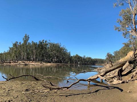 Corowa Bindaree Holiday Park - Kingaroy Accommodation 1