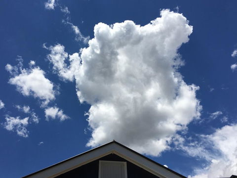99 Hill Street Apartments - Kingaroy Accommodation 18