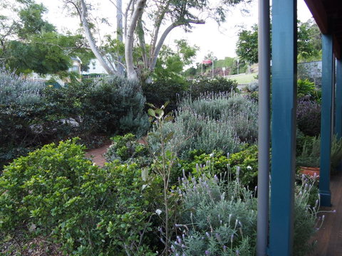 Bellevue Accommodation - Kingaroy Accommodation 23