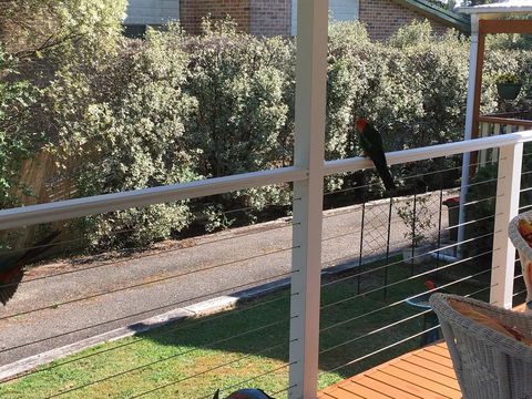 The Best Exotic Magnolia Cottage - Kingaroy Accommodation 15