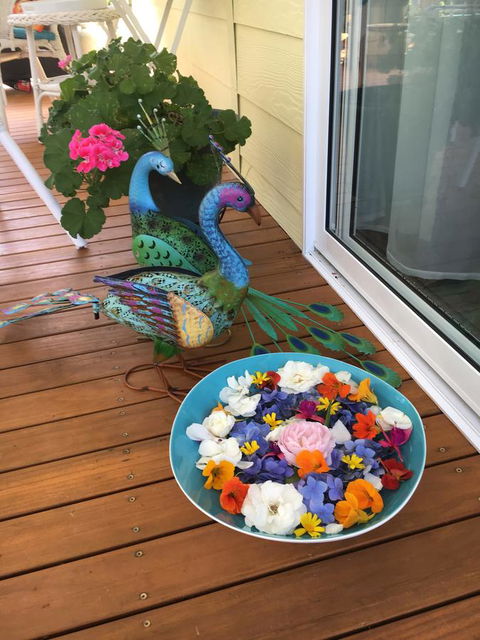 The Best Exotic Magnolia Cottage - Kingaroy Accommodation 8