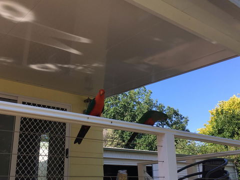The Best Exotic Magnolia Cottage - Kingaroy Accommodation 11