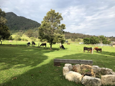Arcadia - The Barn Cottage & Rosehill Cottage - Kingaroy Accommodation 29