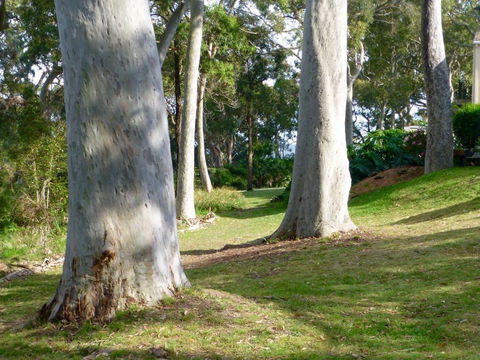 The Retreat At Palm Beach - Kingaroy Accommodation 4