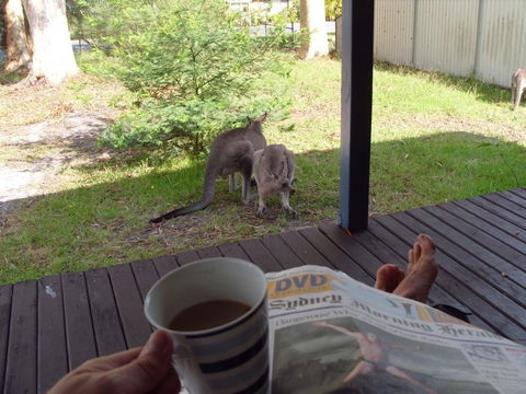 Bush & Bay Cottage - Kingaroy Accommodation 29