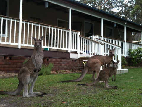 Bush & Bay Cottage - Kingaroy Accommodation 30
