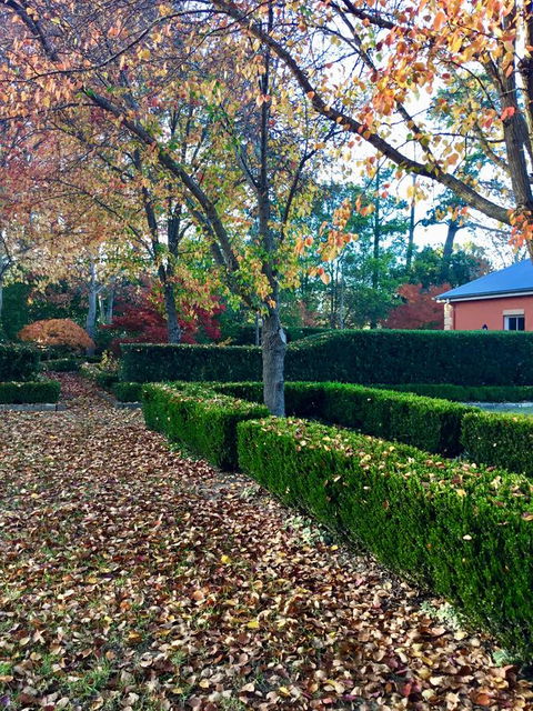 Chanticleer Gardens Barn Cottage With A Pool - Kingaroy Accommodation 37