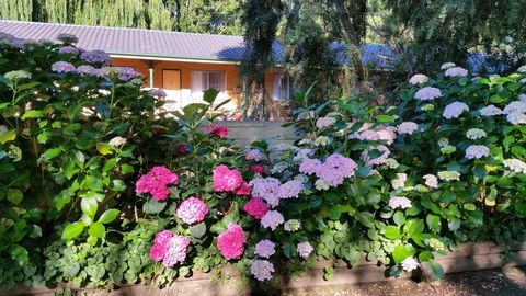Moruya Motel - Kingaroy Accommodation 28