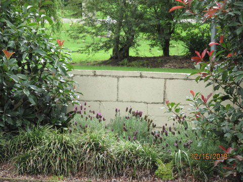 Moruya Motel - Kingaroy Accommodation 16