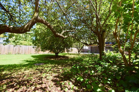 Wildlife Lodge Katoomba - Kingaroy Accommodation 26