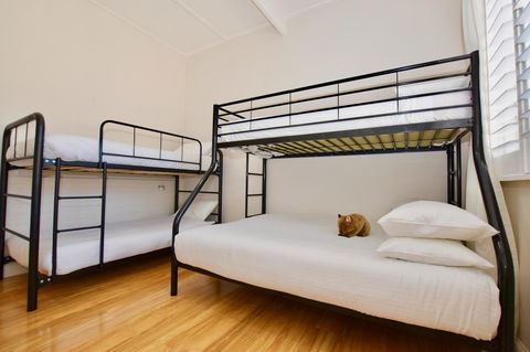 Wildlife Lodge Katoomba - Kingaroy Accommodation 7
