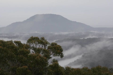 Christopher Tiny House - Kingaroy Accommodation 5