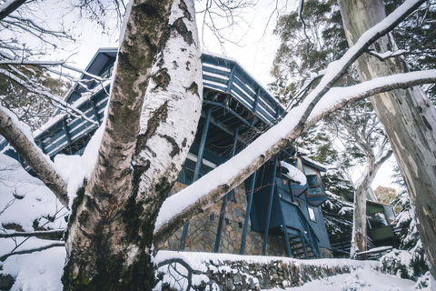 Pure Chalet Thredbo - Kingaroy Accommodation 21
